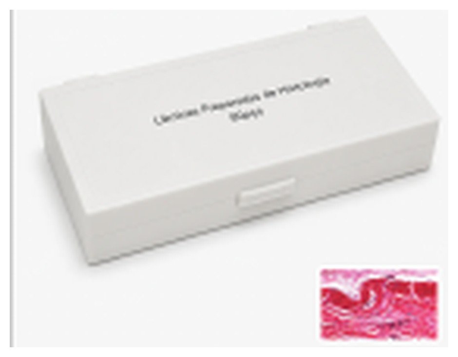Conjunto de Lâminas Preparadas de Histologia — 80 Peças