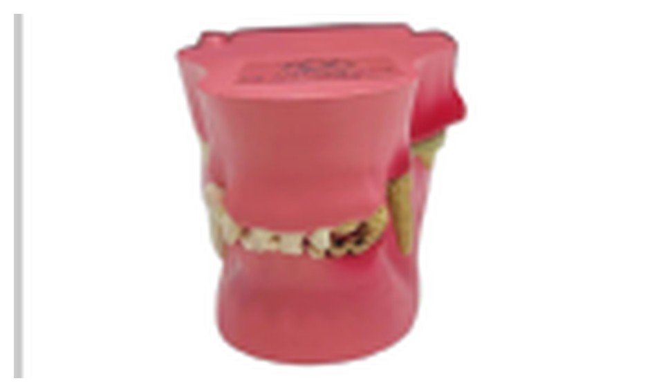 Modelo de Dentes de Cão