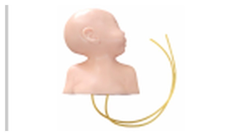 Simulador de Cabeça Neonatal para Punção Venosa – Posição Lateral