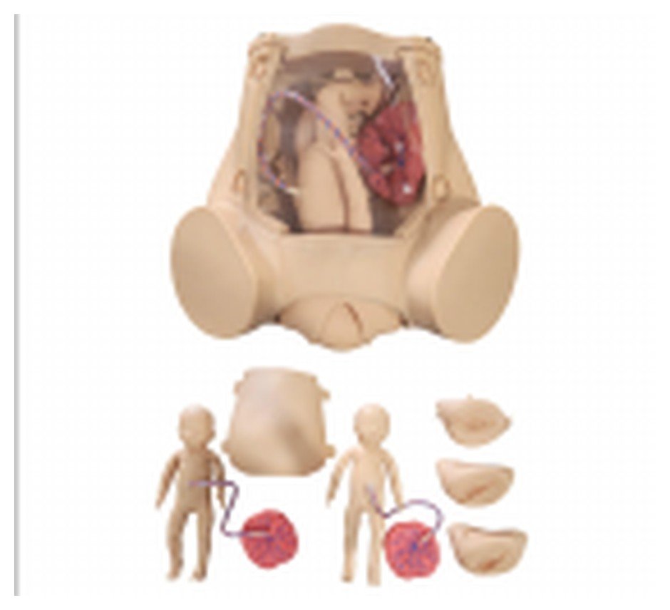 Simulador de Parto Gemelar, com Placenta