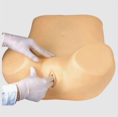 Simulador Ginecológico com Útero Saudável e Patológicos