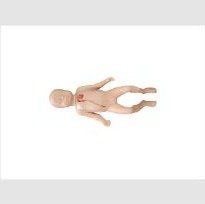 Simulador Neonatal, Avançado, para Punção Venosa Central e Periférica