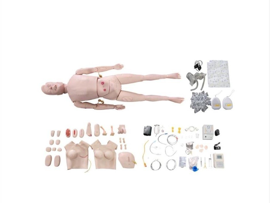 Simulador para Treino de Enfermagem e RCP Bissexual