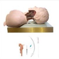Simulador para Treino de Intubação Traqueal, com Visualização das Vias Aéreas